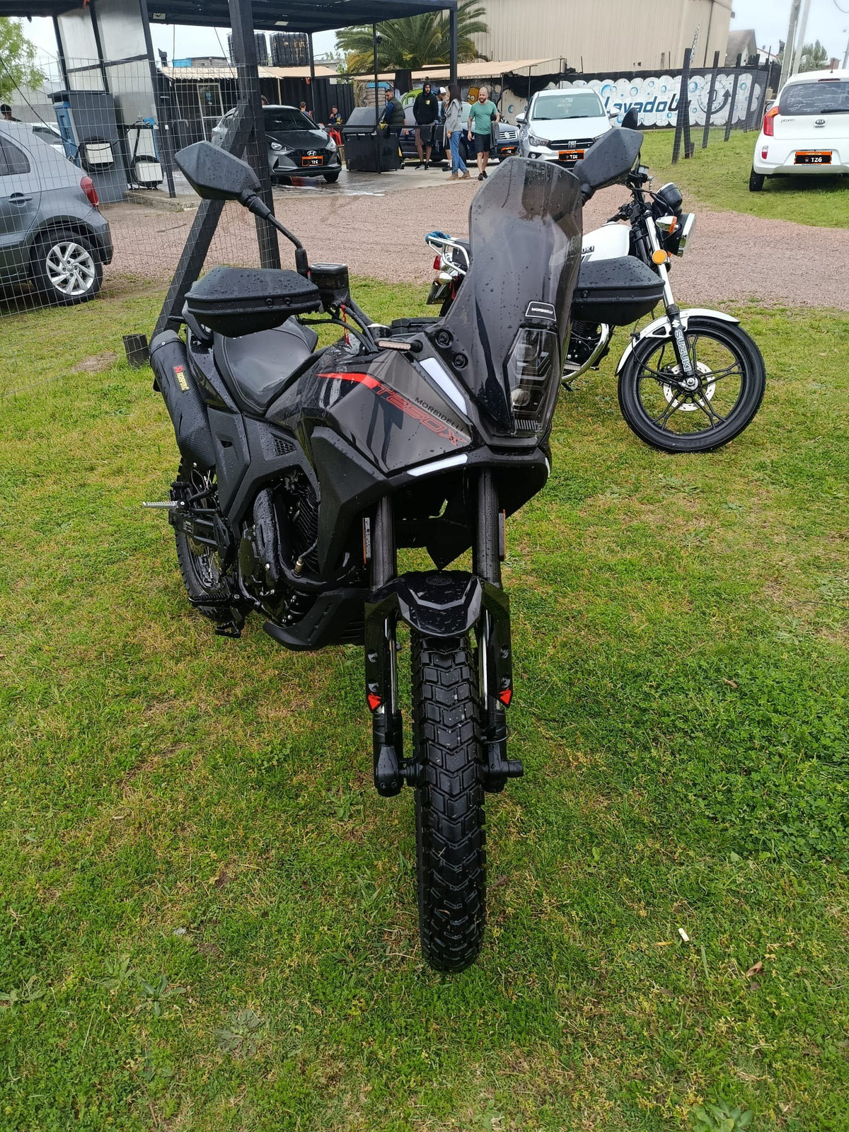 Morbidelli T250X (2026)